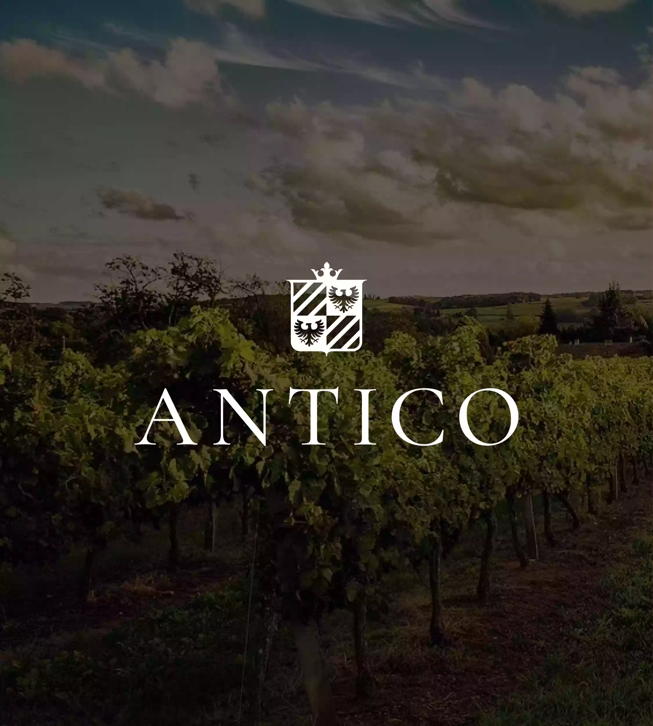 Antico Wines